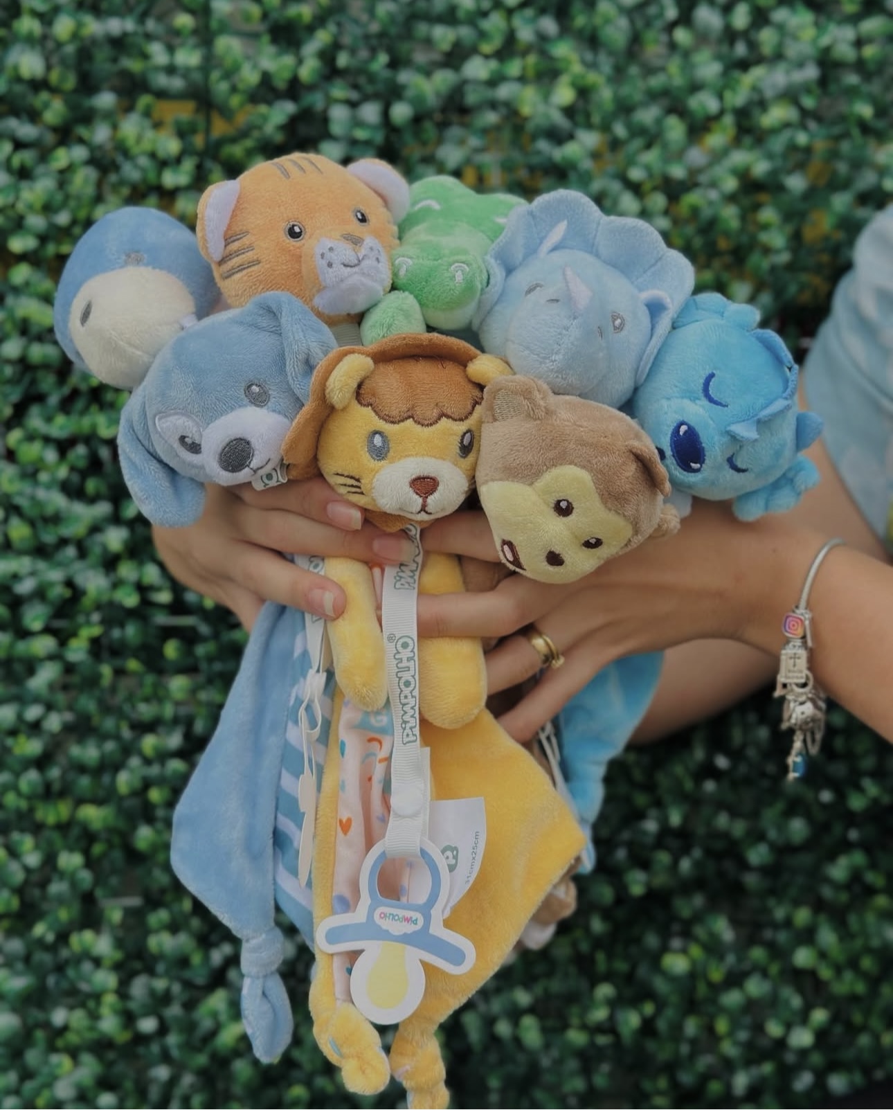 Naninha Bichinhos com Prendedor de Chupeta – Pimpolho - Imagem 13