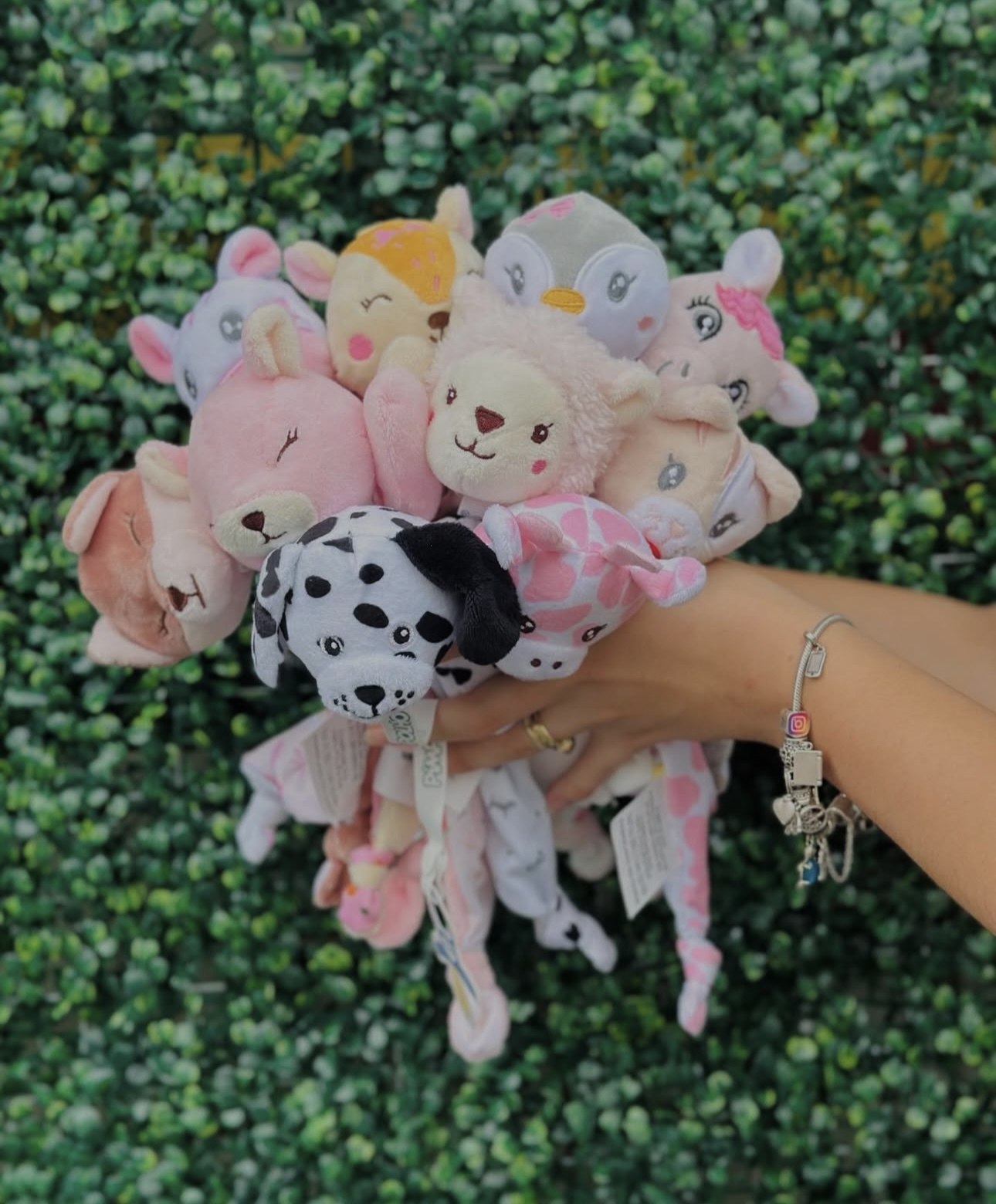 Naninha Bichinhos com Prendedor de Chupeta – Pimpolho - Imagem 14