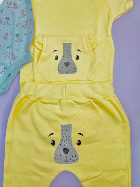 kit 4 peças Girafa Cachorrinho-2 conjuntos bebe menino-G - Imagem 3