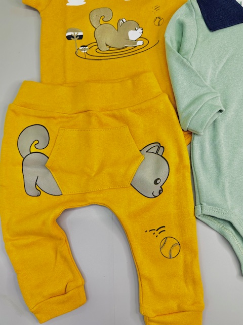 kit 4 peças Leãozinho e cachorrinho-2 conjuntos bebe menino-P e M - Imagem 4