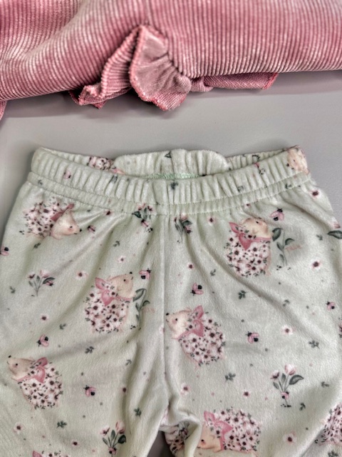 Conjunto Tilly Baby Blusa de Veludo Cotelê e Calça Estampada-TAM:M - Imagem 4