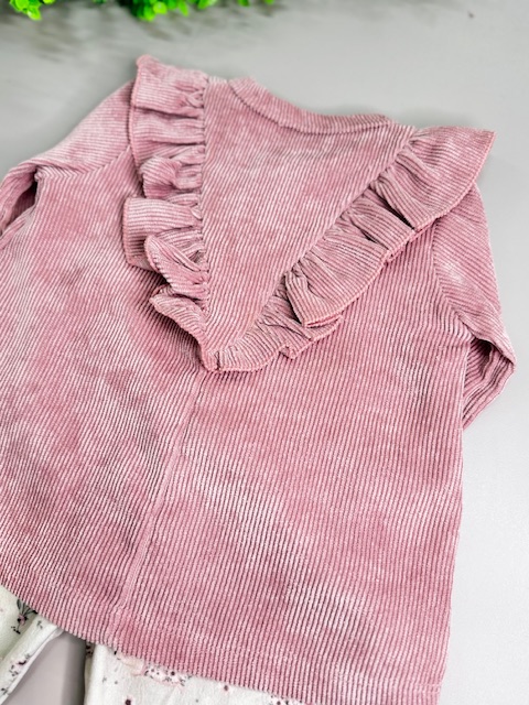 Conjunto Tilly Baby Blusa de Veludo Cotelê e Calça Estampada-TAM:M - Imagem 2